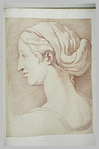 Tête de femme de profil : Junon