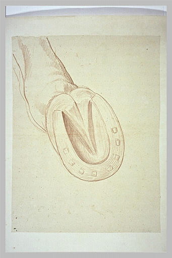 Sabot de cheval ferré, vu en dessous