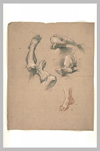 Etude d'un pied et deux études de jambes