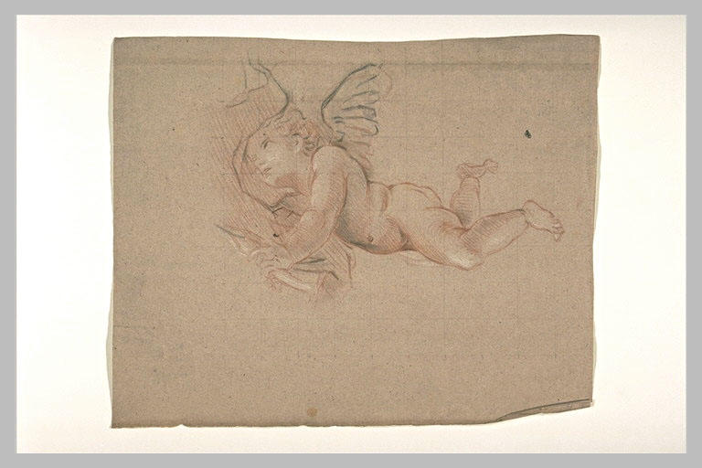 Un amour tenant une draperie, regardant au ciel