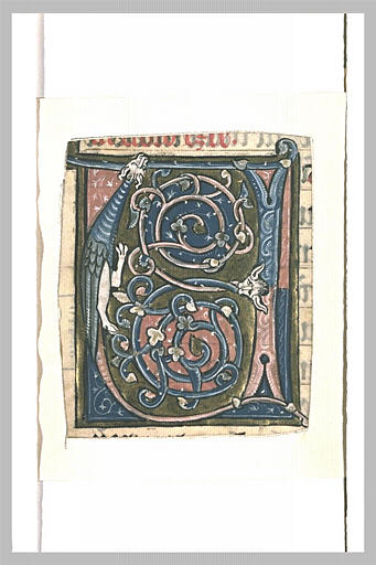 Lettre V : dragons et rinceaux