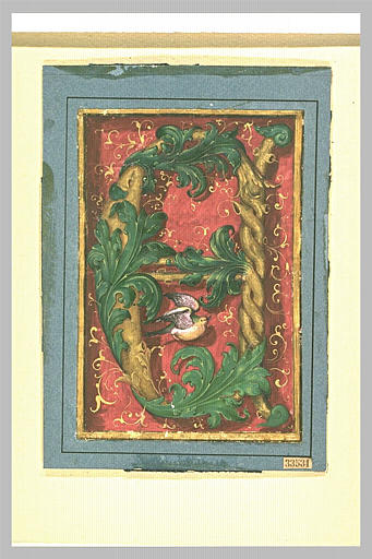 La lettre E formée de rinceaux enlacés