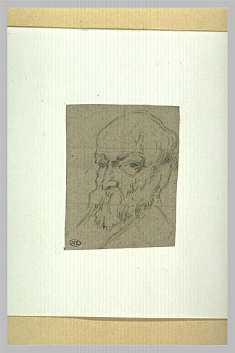 Une tête de vieillard chauve tournée à gauche