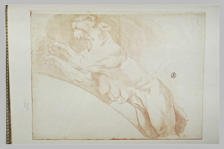 Panthère s'élançant