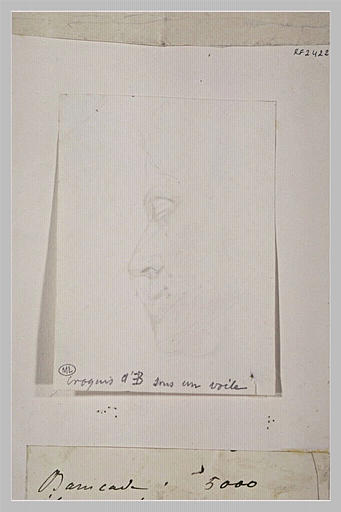 Portrait de Madame E. B. voilée