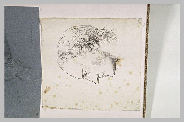 Tête d'homme, imberbe, vue de profil