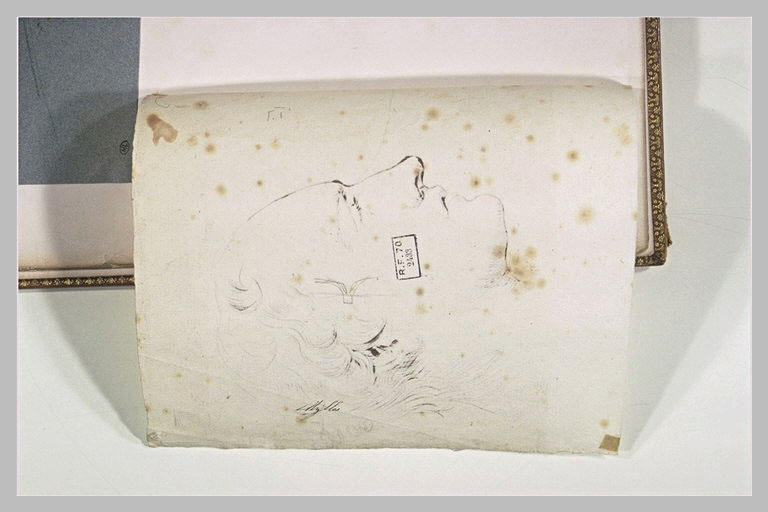 Annotations et traits