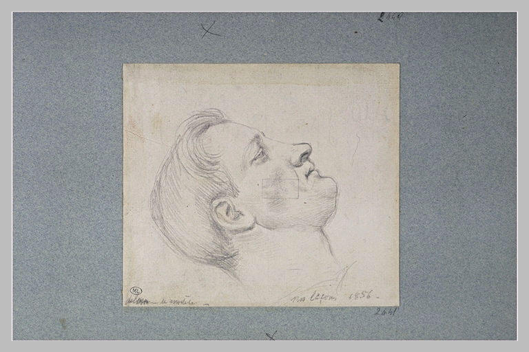 Tête d'homme, vue de profil