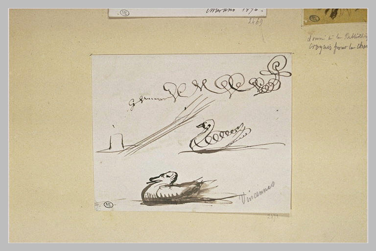 Croquis de canards
