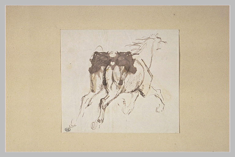 Etude de cheval