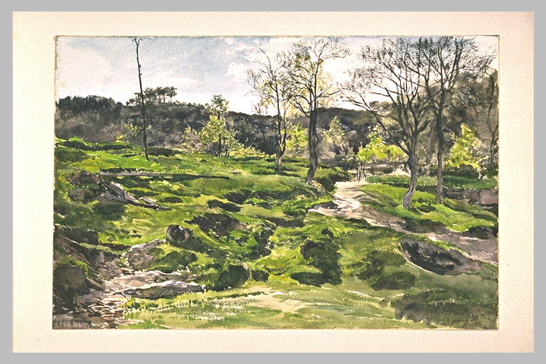 Paysage de montagnes boisées