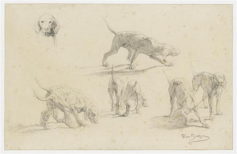 Quatre études d'un couple de chiens de chasse
