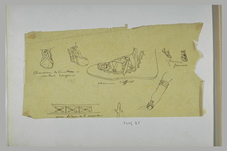 Etudes de chaussures, d'une bordure, de manche et d'un bras