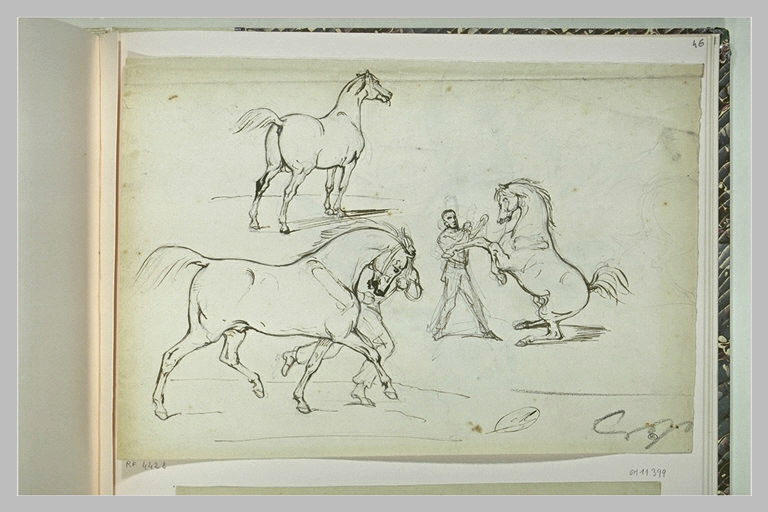 Études de chevaux et d'un dresseur