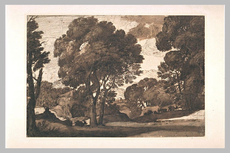 Paysage pastoral avec de grands arbres