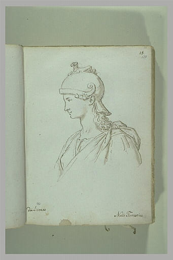 Buste de femme casquée, vue de profil tournée vers la gauche