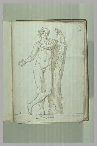 Bacchus vu de face