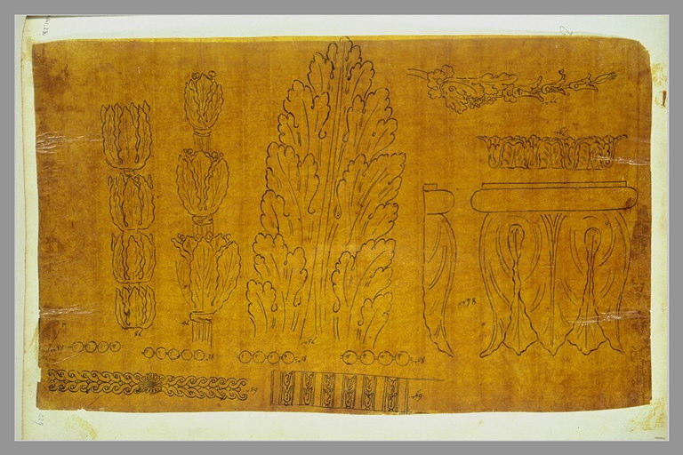 Motifs décoratifs végétaux