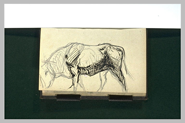 Boeuf