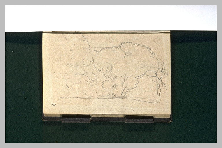 Paysage boisé