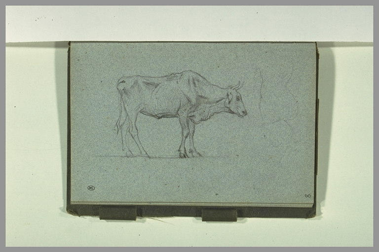 Boeuf