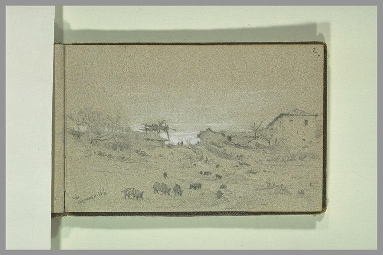 Paysage