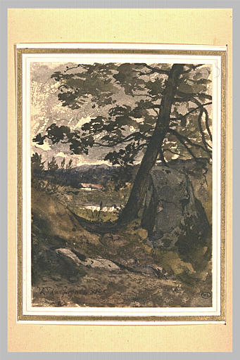 Paysage de montagne avec des rochers et des collines