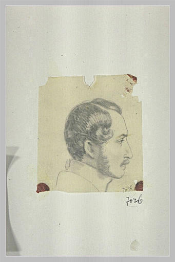 Le Prince Albert