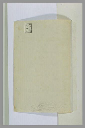 Etude de feuillage