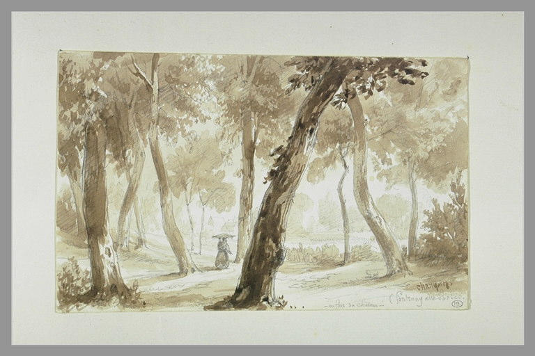 Grands arbres à Fontenay-aux-Roses