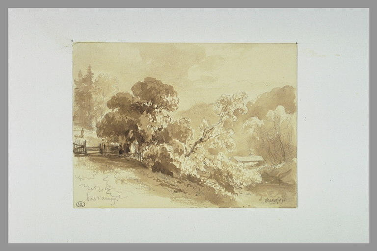 Bouquet d'arbres surplombant un vallon boisé, à Aunay