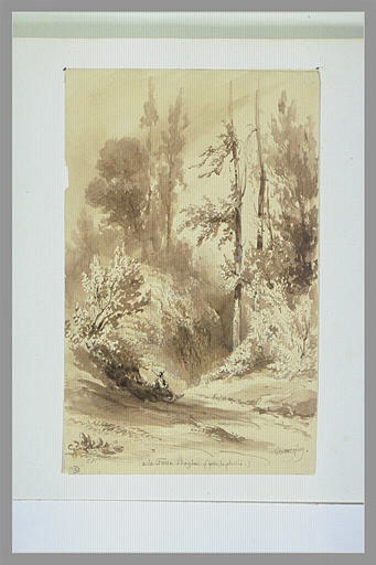 Un paysan sur un chemin tournant à droite dans un bois près du Plessis