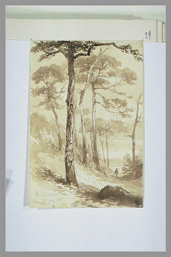 Homme sur un chemin bordé d'arbre, à Menilvoien