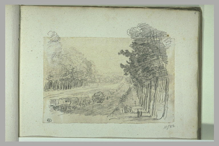 Avenue bordée d'arbres et suivie par des voitures