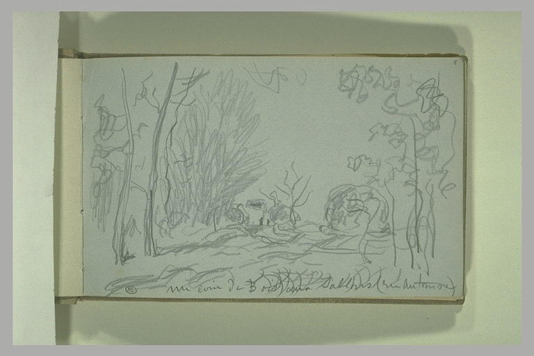 Un coin de bois aux Sablons en automne