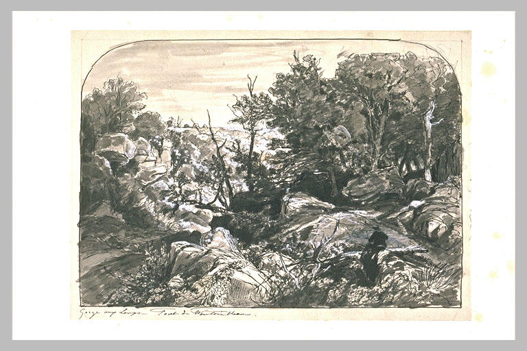 Vue de la Gorge aux Loups, en forêt de Fontainebleau