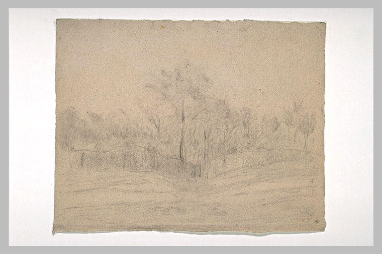 Arbres au fond d'un terrain dénudé