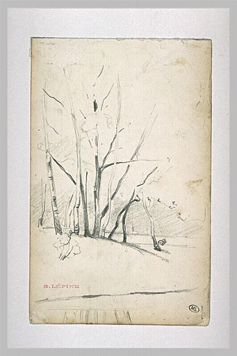Arbres sur une butte
