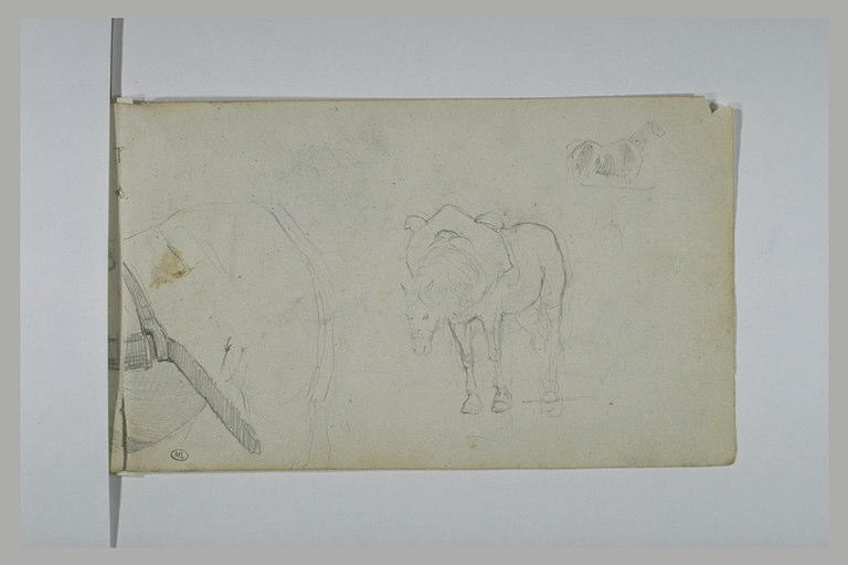 Arrière-train d'un cheval de trait ; cheval de trait ; croquis d'un cheval