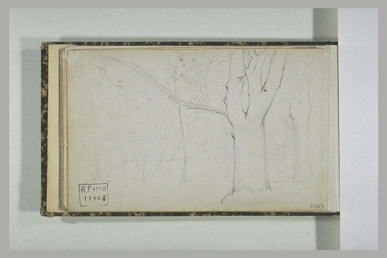 Arbres