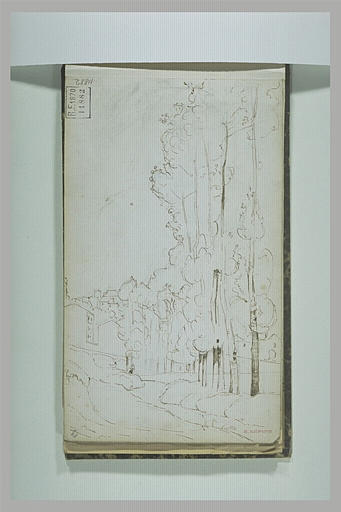 Ruisseau bordé de peupliers