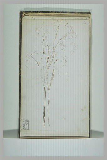 Arbre