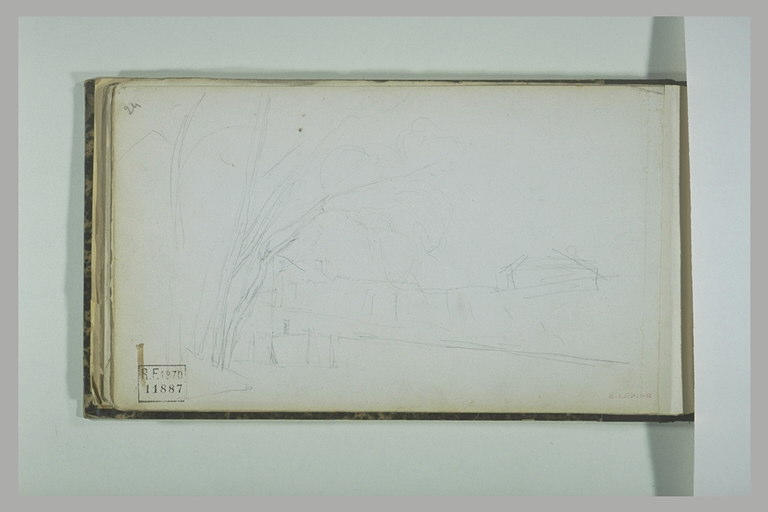 Paysage avec des arbres et des maisons