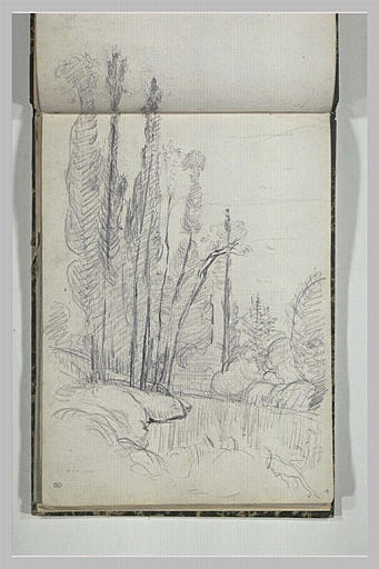Arbres