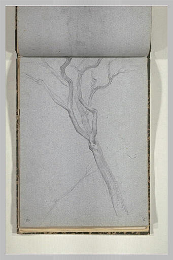 Etude d'arbre