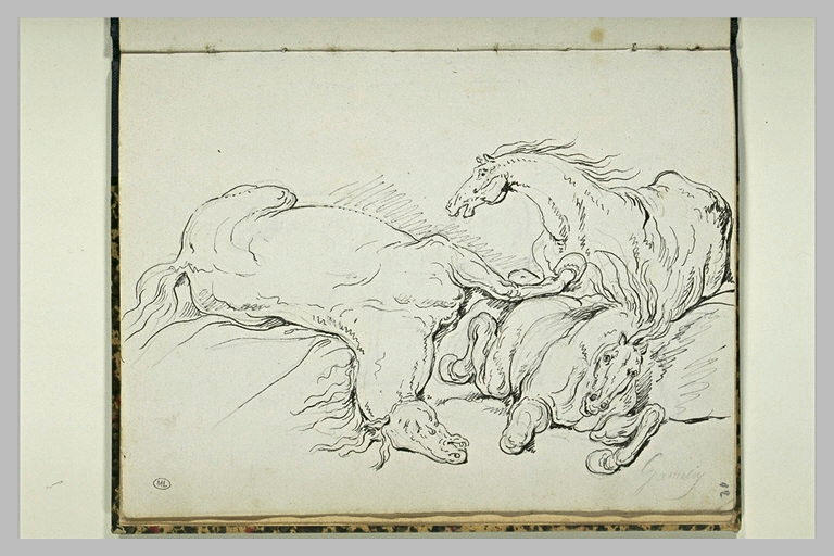 Chevaux renversés