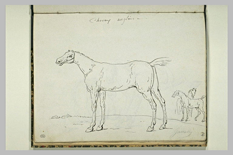 Etudes de trois chevaux