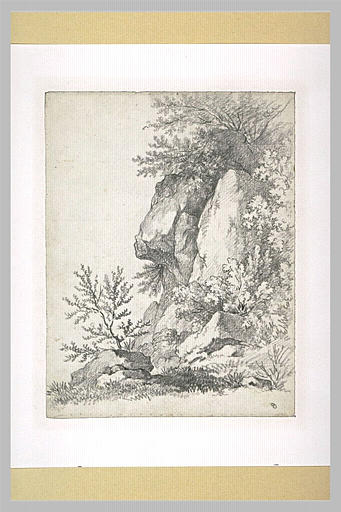 Roc escarpé, avec des arbrisseaux