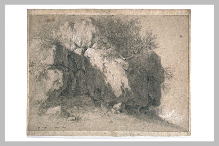 Arbres poussant entre des rochers