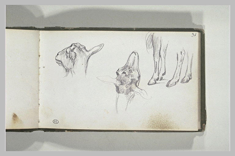 Têtes et pattes de chèvres